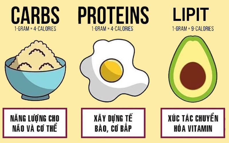 Lưu ý lượng protein, carbohydrate và chất béo