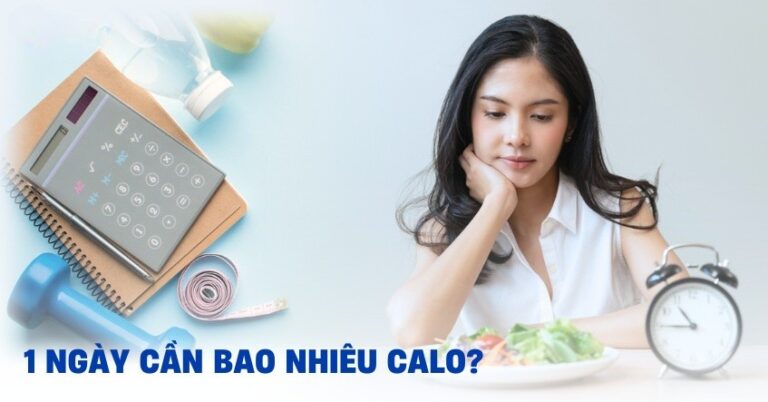 1 Ngày cần bao nhiêu calo? Cách tính calo để giảm cân cấp tốc