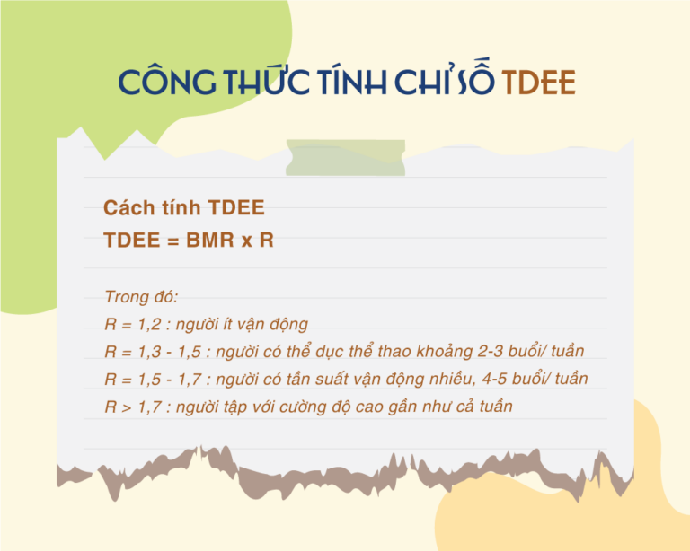 Tính TDEE là gì? Cách tính TDEE chuẩn cho nam và nữ