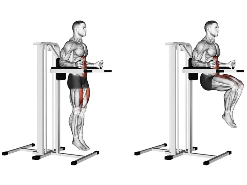 Knee Hip Raise trên xà kép là một biến thể của Hanging Leg Raise