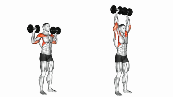 Bài tập ngồi đẩy tạ - Dumbbell Shoulder Press