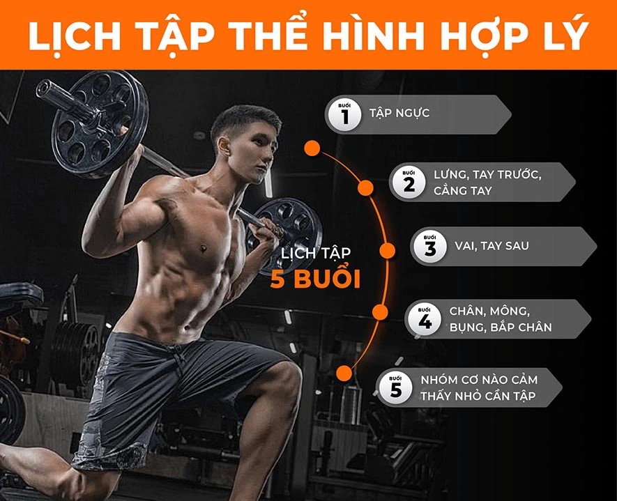 Lịch tập gym cho người mới thứ 3: Tập 5 buổi/tuần