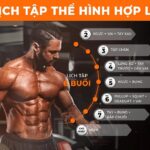 Hướng dẫn lịch tập gym cho người mới bắt đầu hiệu quả
