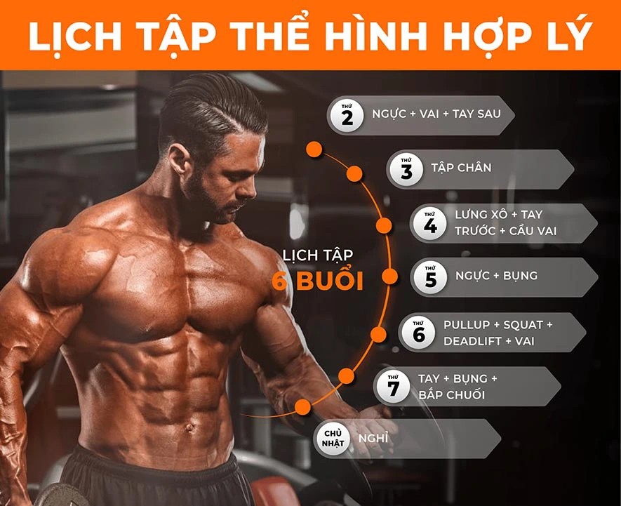 Lịch tập gym cho người mới thứ 4: Tập 6 buổi/tuần