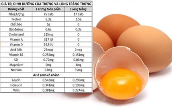 Giá trị dinh dưỡng của Protein trứng gà và tác dụng đối với sức khỏe