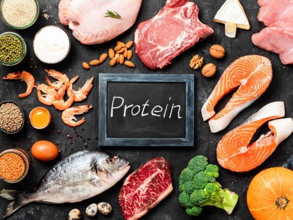 Nguồn Protein tốt nhất cho chế độ ăn hằng ngày