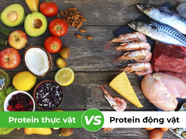 Sự khác biệt giữa Protein động vật và thực vật