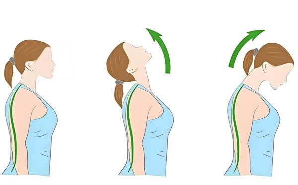 Tập luyện cho cổ cao hơn