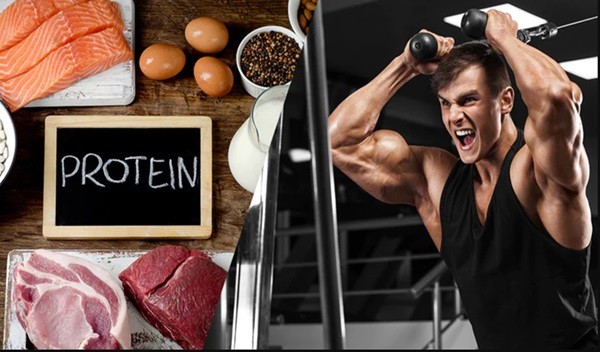 Cần bao nhiêu g protein để tăng cơ? Thực đơn giàu đạm