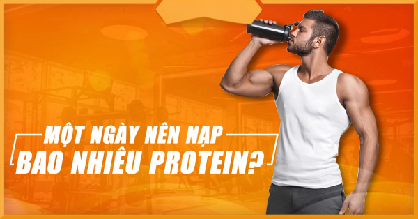 Cần nạp bao nhiêu Protein mỗi ngày để tăng cơ?