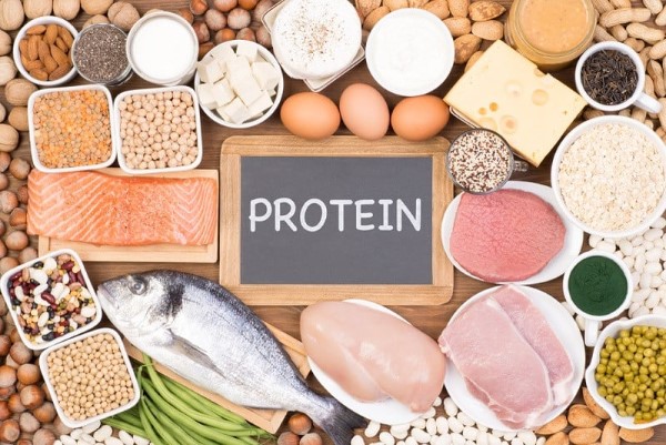 Phân phối lượng Protein trong ngày để tối ưu hiệu quả