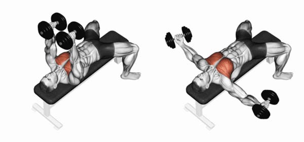 Hướng dẫn tập Dumbbell Fly đúng cách