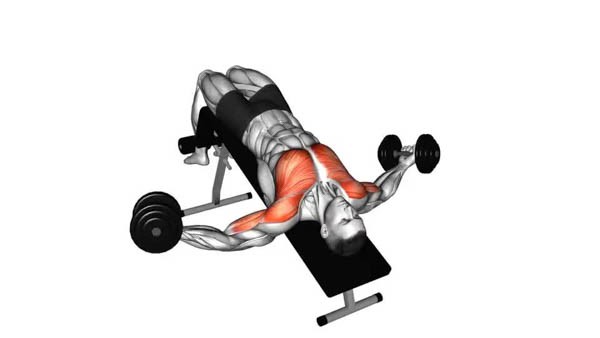 Decline Dumbbell Fly