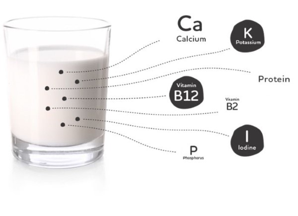 Sữa có bao nhiêu protein? Lượng Protein trong sữa