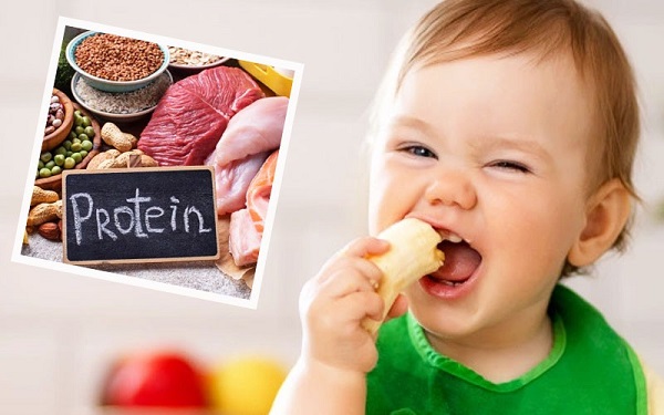 Trẻ em cần một lượng protein cao hơn để xây dựng cơ thể
