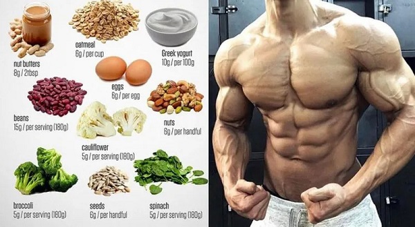 Protein và tăng cơ: Nguyên liệu xây dựng cơ bắp