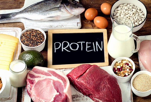 Nguồn protein động vật